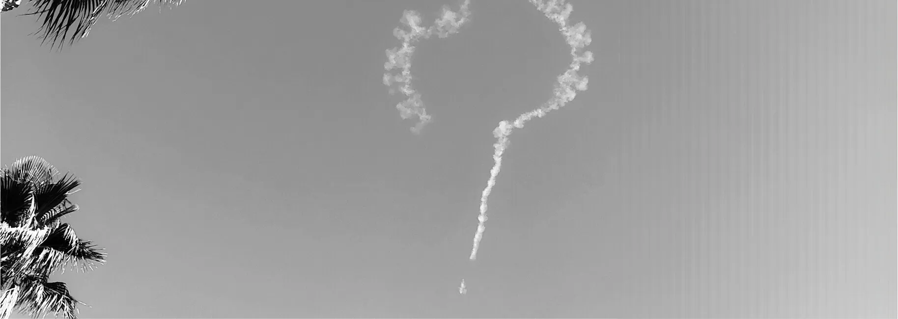 Palm trees against a grey sky with a smoke trail shaped like a question mark.