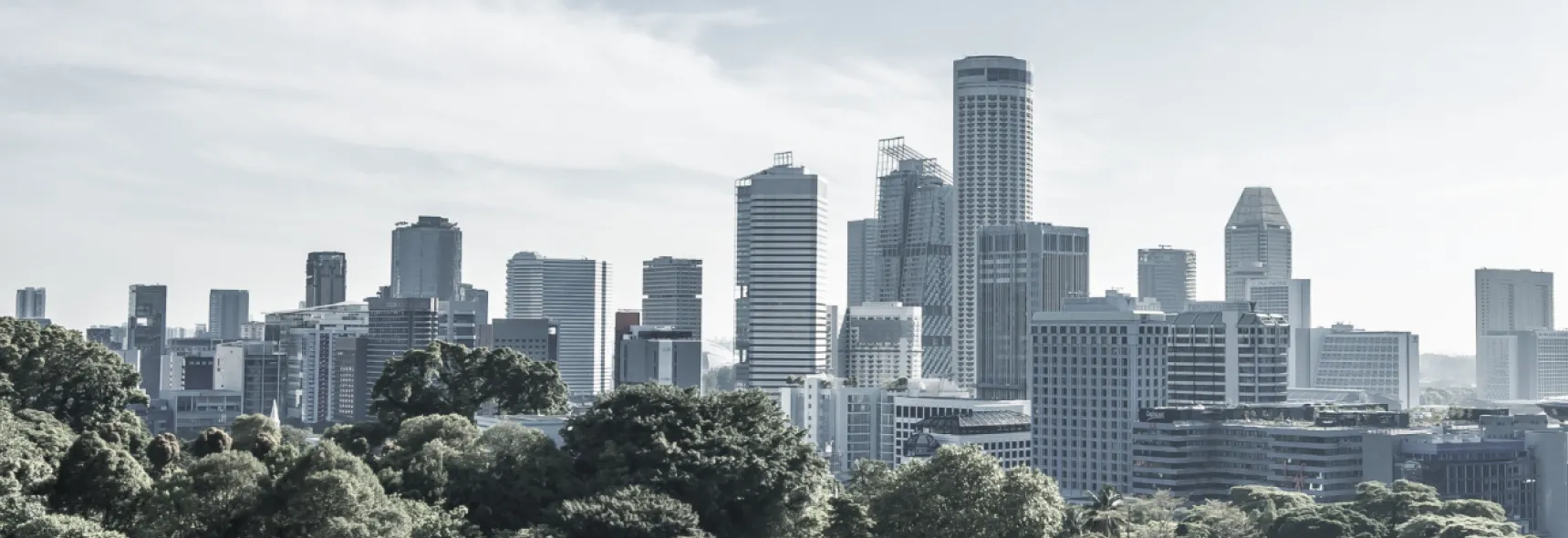 Singapore skyline seen through trees along a landscaped waterfront